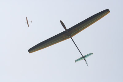 High Flying Handlaunch Sailplanes [courtesy: polecataero.com]